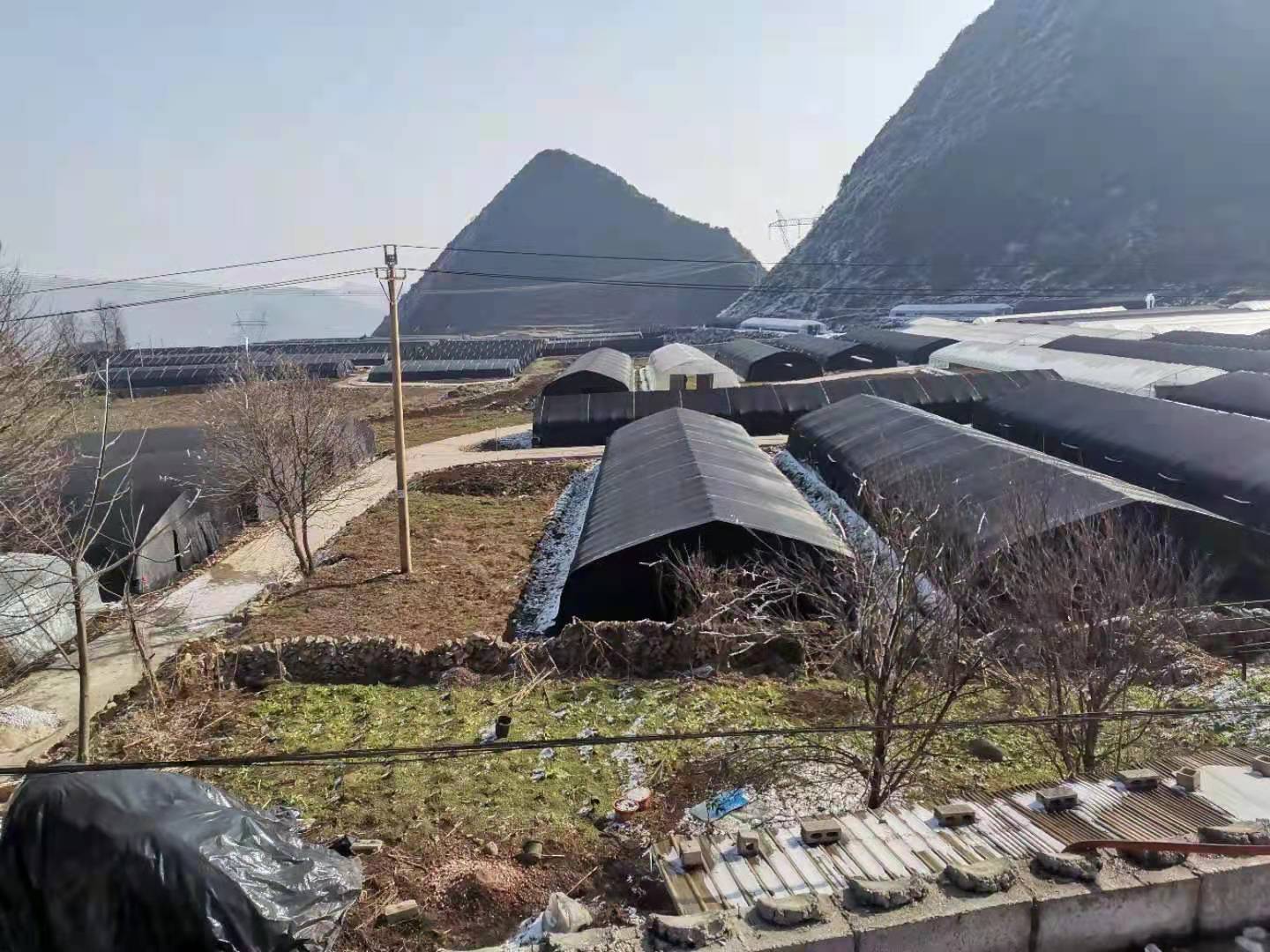 8144259